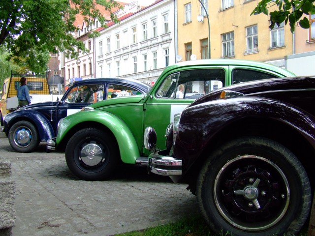 fot.Miniu 552.jpg