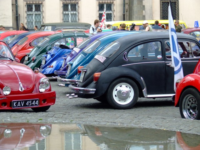 fot.Miniu 553.jpg