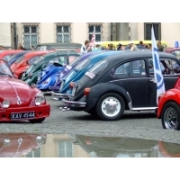 fot.Miniu 553.jpg
