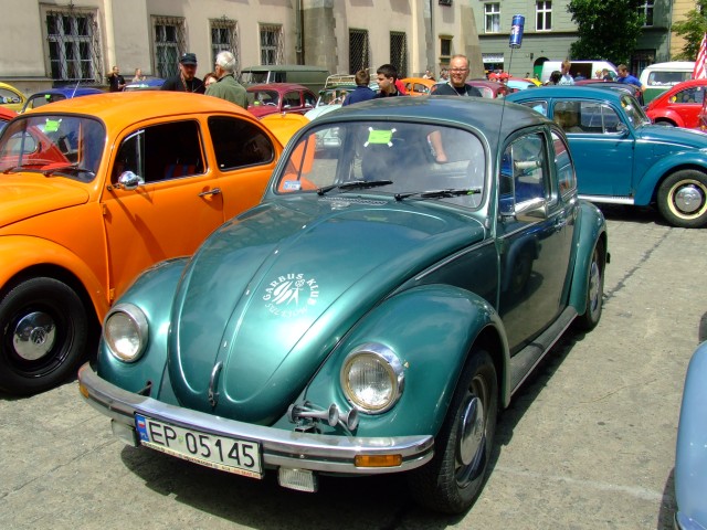 fot.Miniu 566.jpg