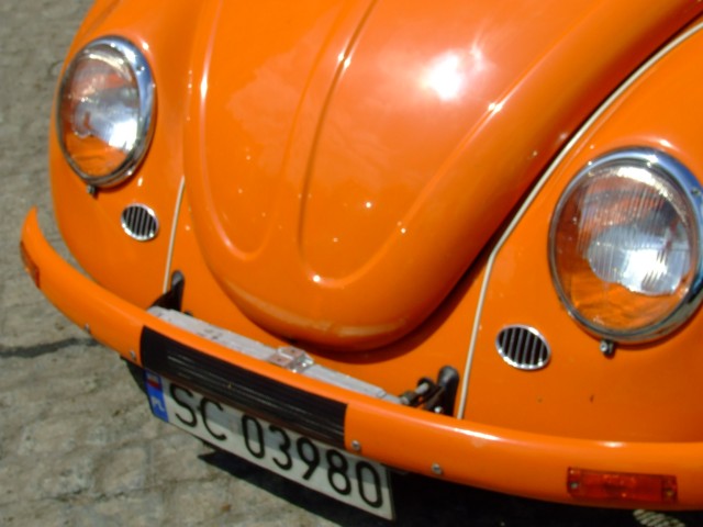 fot.Miniu 568.jpg