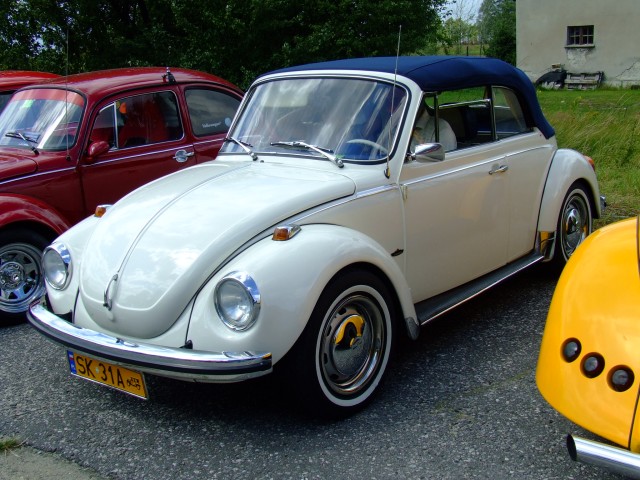 fot.Miniu 656.jpg