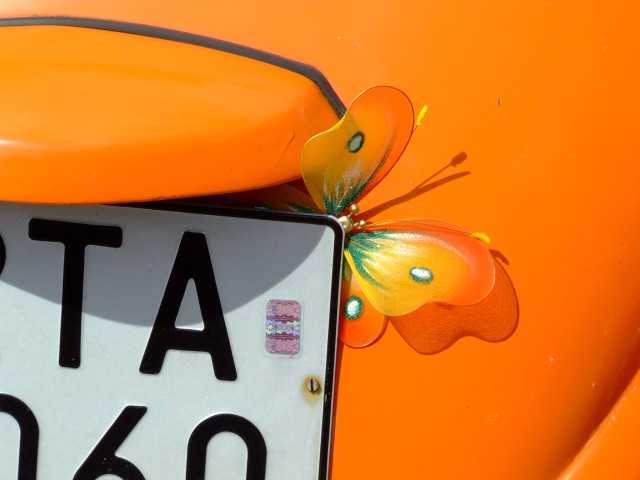 fot.Miniu 658.jpg