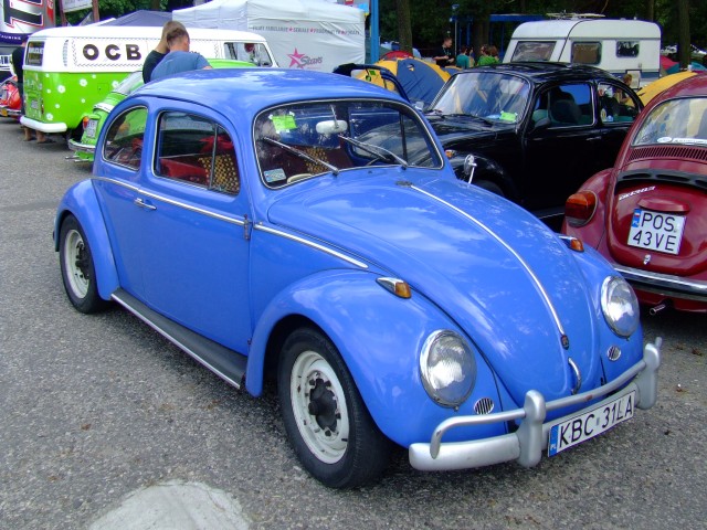 fot.Miniu 669.jpg