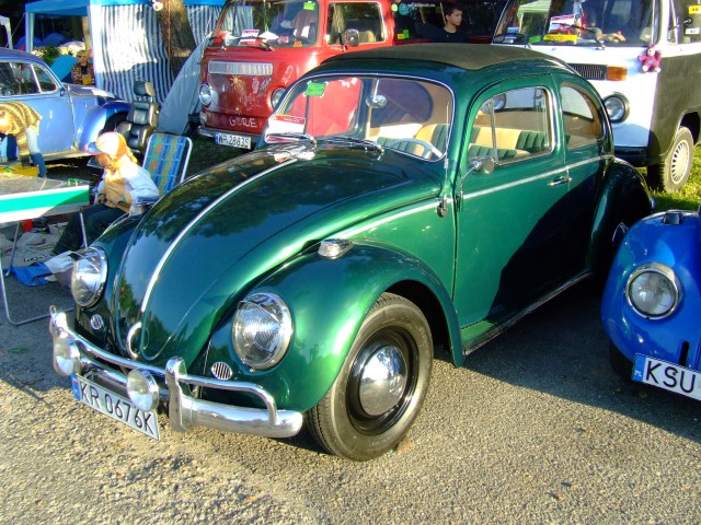 fot.Miniu 688.jpg