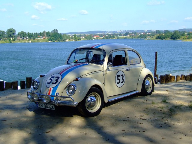 fot.Miniu 742.jpg