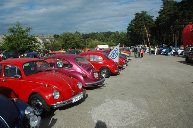 vw garbusy2007 334.jpg