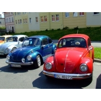 fot.Miniu