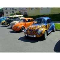fot.Miniu