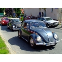 fot.Miniu