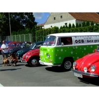 fot.Miniu