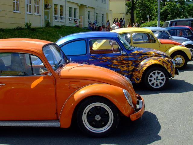 fot.Miniu
