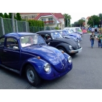 fot.Miniu