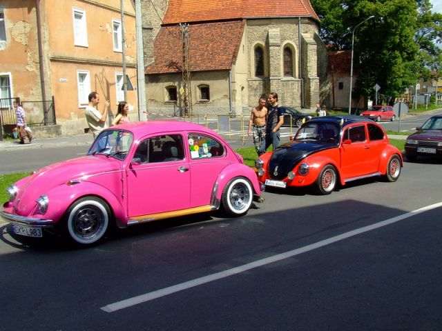 fot.Miniu