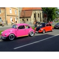 fot.Miniu