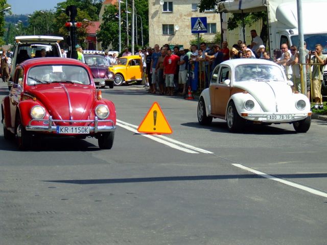 fot.Miniu