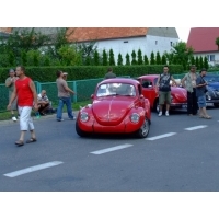 fot.Miniu