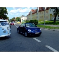 fot.Miniu