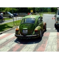 fot.Miniu