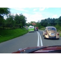 fot.Miniu