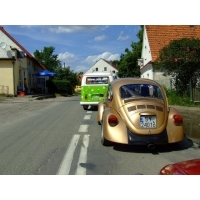 fot.Miniu