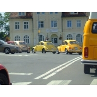 fot.Miniu
