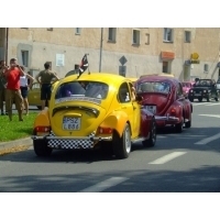 fot.Miniu