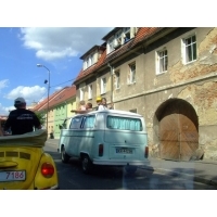 fot.Miniu