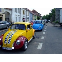 fot.Miniu