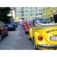 fot.Miniu