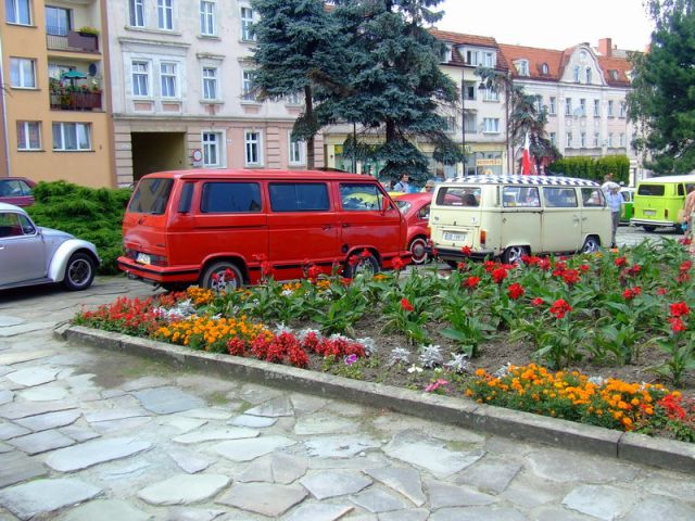 fot.Miniu