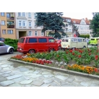 fot.Miniu