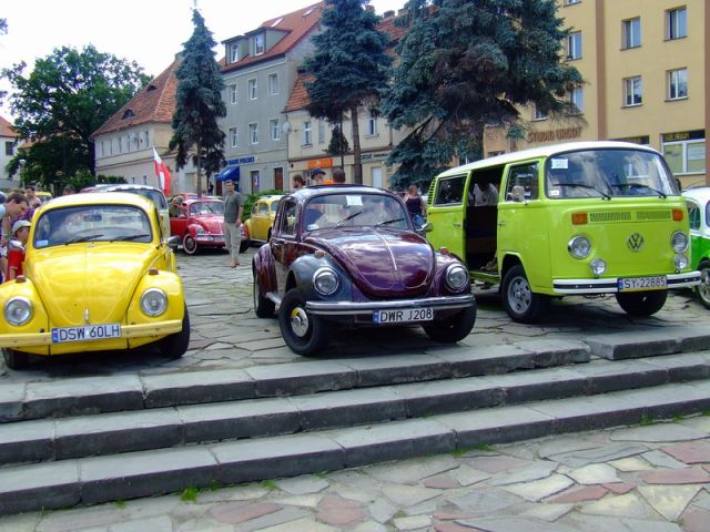 fot.Miniu