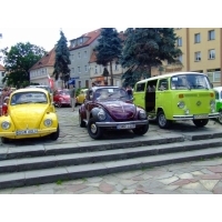 fot.Miniu