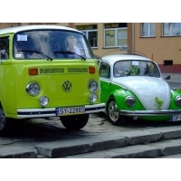 fot.Miniu