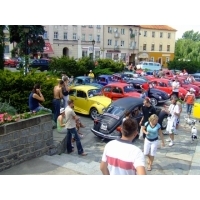 fot.Miniu