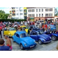 fot.Miniu