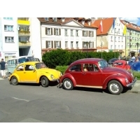 fot.Miniu