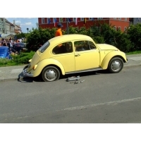fot.Miniu