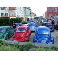 fot.Miniu