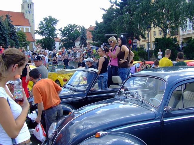 fot.Miniu