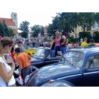 fot.Miniu