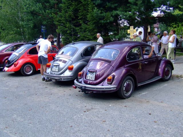 DSCF7238.jpg