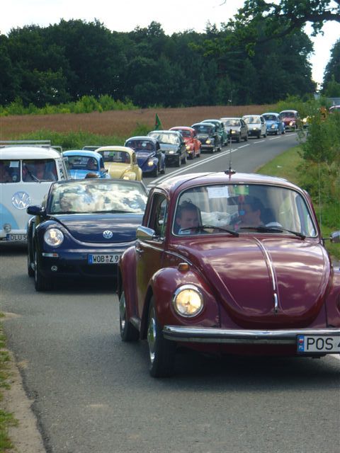 P1000096.jpg