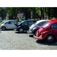 Fot.Miniu