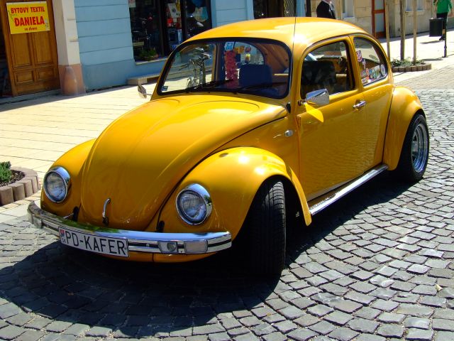 Fot.Miniu