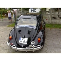 fot.Boguś