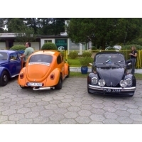 fot.Boguś
