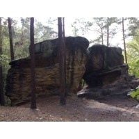fot.Boguś