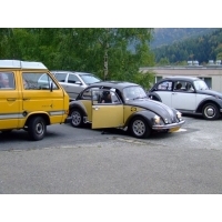 fot.Miniu